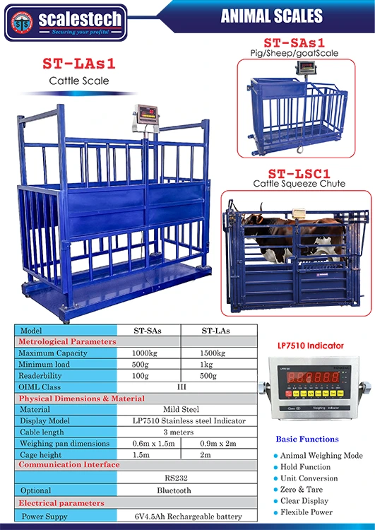 High-precision squeeze chute animal scale used for weighing cattle safely and accurately on livestock farms in Nairobi, Kenya and across East Africa.