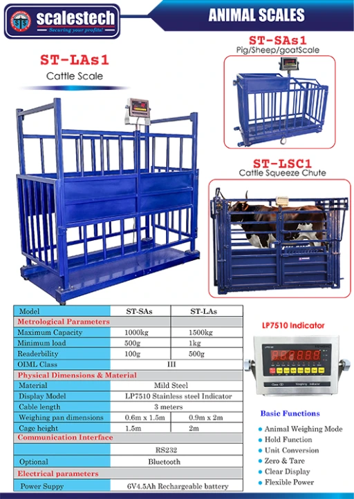 Heavy-duty animal weighing scale for cows, bulls, and camels, designed for accurate livestock weight measurement on farms and ranches across Nairobi, Kenya and East Africa.