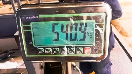 The reception point where incoming milk deliveries are weighed