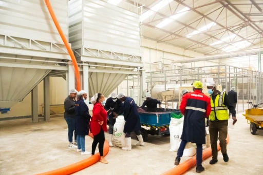 Silo weighing system designed for accurate grain batching and automated material handling.