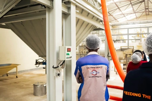 Industrial hopper weighing system for accurate measurement and controlled grain discharge.