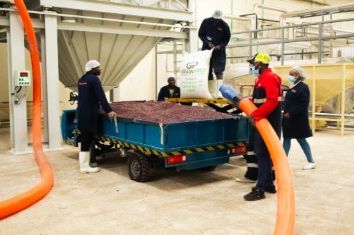 Load-cell-based weighing solution for precise measurement of bulk grains in silos.