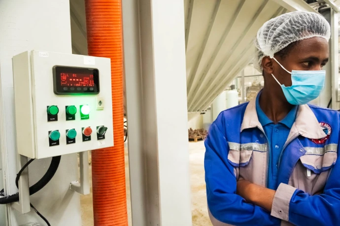 Automated weighing system for accurate measurement during grain handling operations.