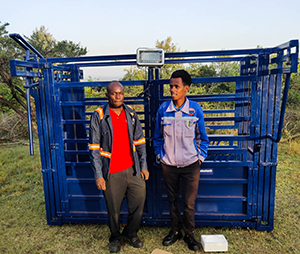 Weighing Solutions for Agriculture in Kenya – Farm, Grain, and Livestock Scales Accurate agricultural weighing systems in Kenya for farms, grain handling, livestock, and produce markets. Durable scales designed for tough field conditions and high performance.