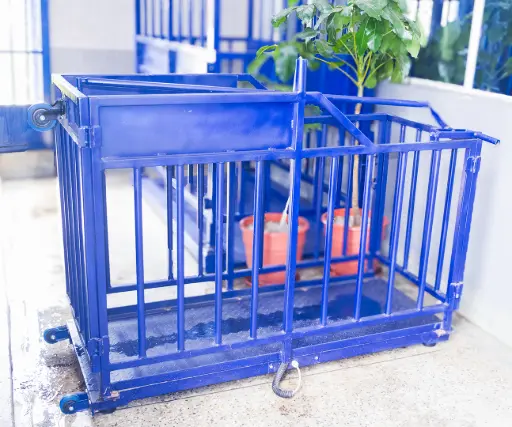 portable pig scales small animal weighing scale