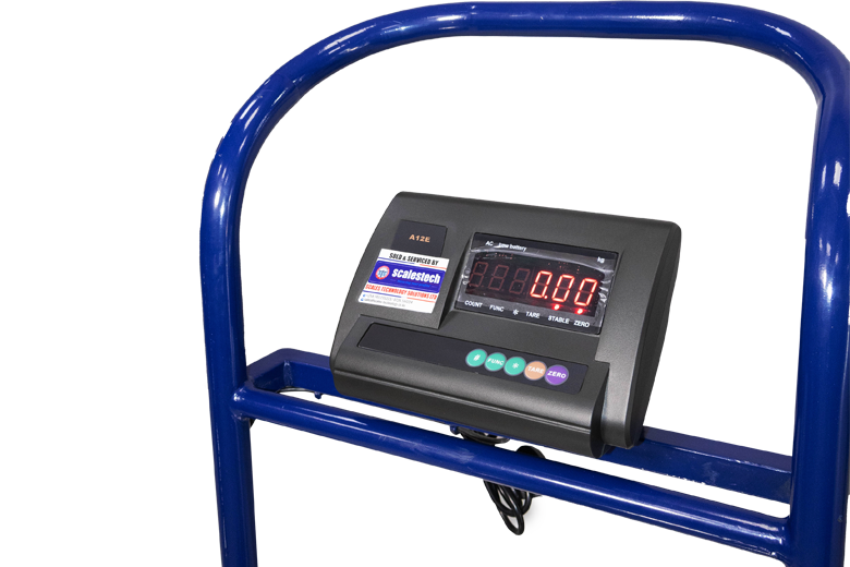 Electronic Platform Scale-Mild steel with ss top with wheels (450x600mm)