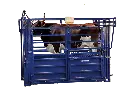 big animal scale cow.webp