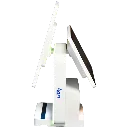 pon3.webp