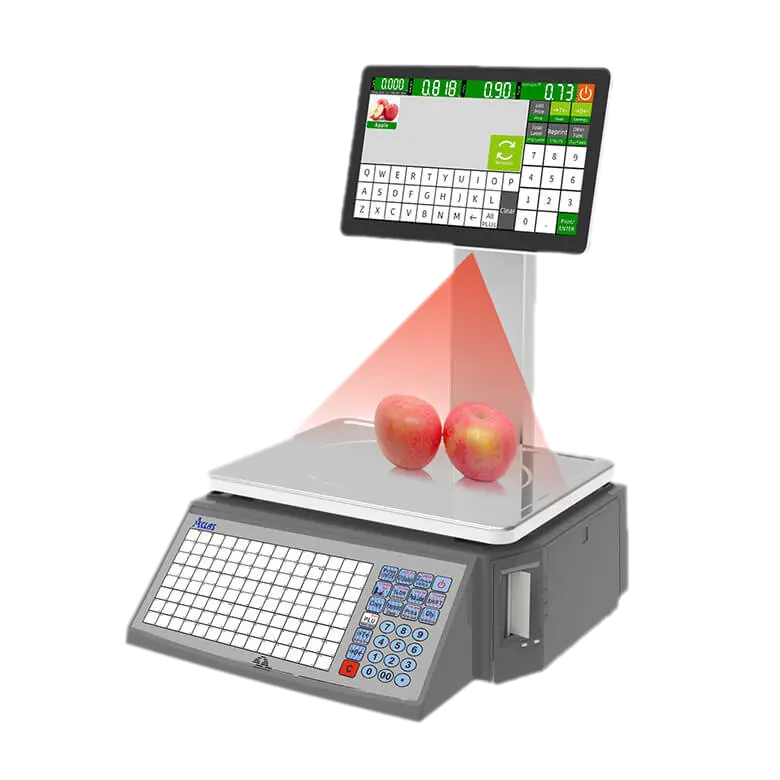 iS2X Image Recognition Scale