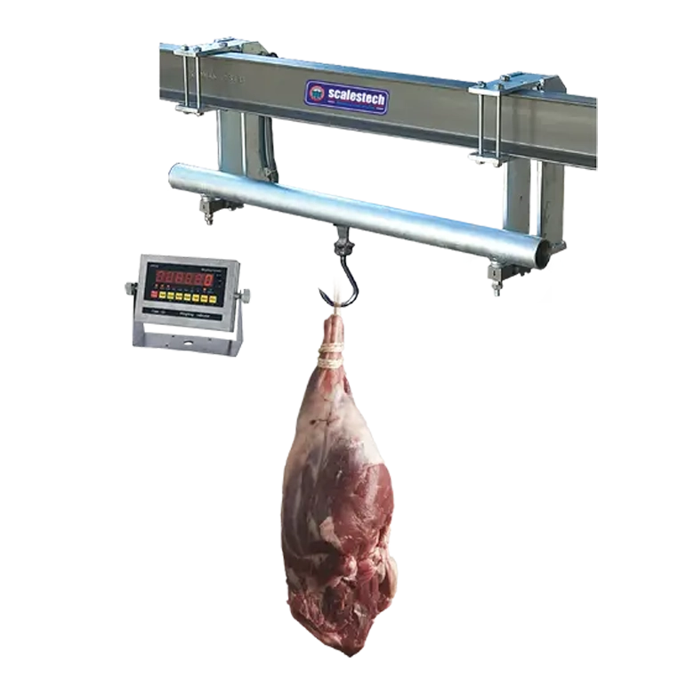 Monorail Overhead Track Scale
