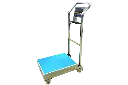 Heavy-duty Stainless Steel Trolley Portable scale Platform Scale with push handle, movable bench scale on wheels