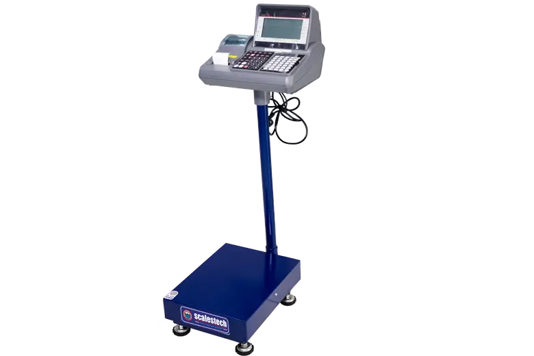 Heavy Duty Mild Steel Platform Scale with SPC 310 Label Printing Indicator