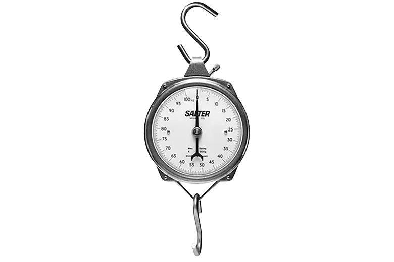 Salter Hanging Scale (200kg, Trade Approved)