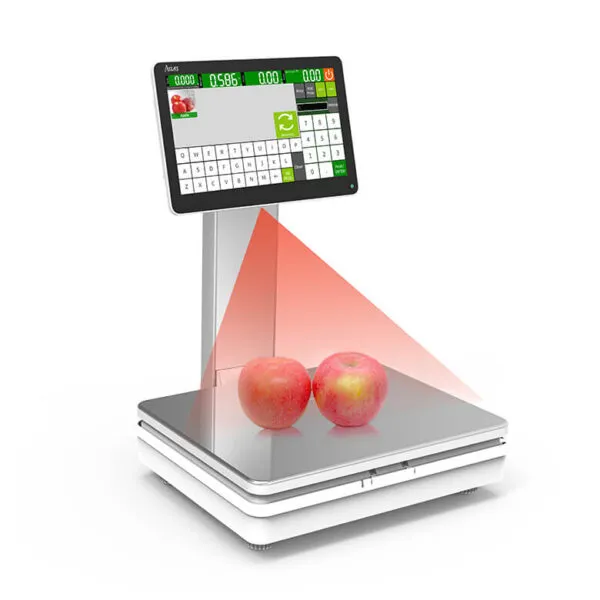 OiT2X Export Cash Registar Ai Scale