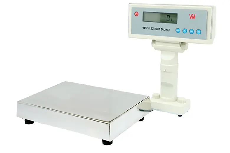 WANT WT-B 0.1g platform scale