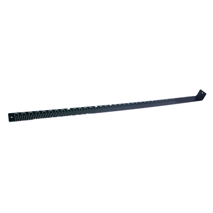 Fish ruler