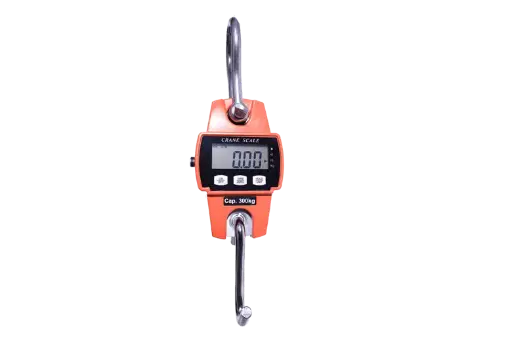 OCS-10A Mini Crane Scale