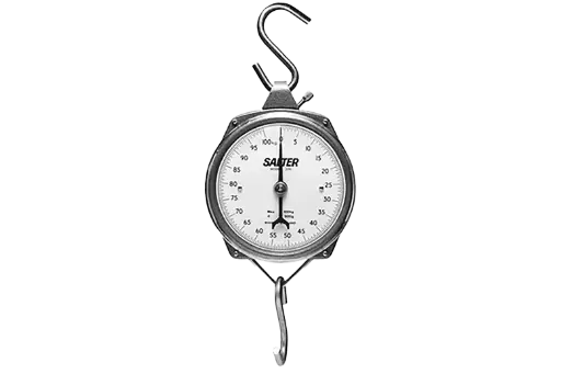 Salter Hanging Scale