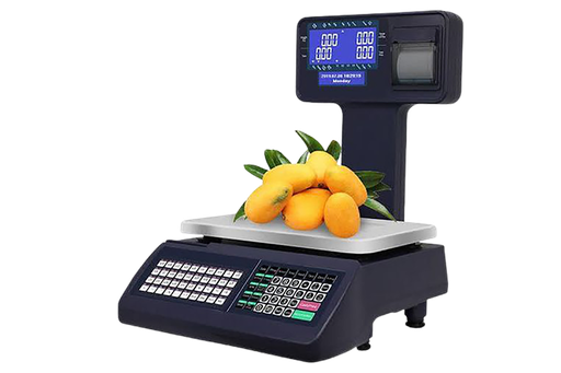 [1005] ECS Cash Register Scale