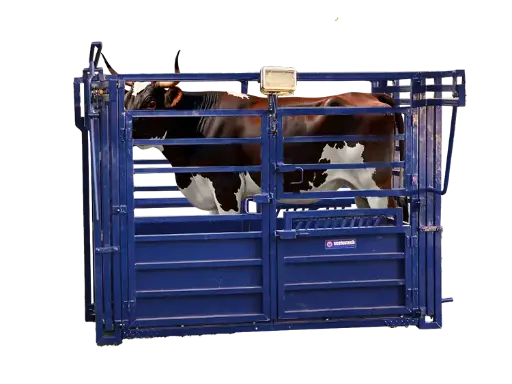 [1321] Animal Weighing Scale cage- Livestock Scale for Bulls & Cows